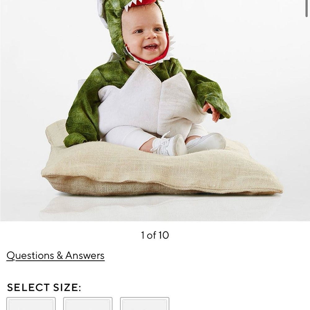 Pottery Barn Kids Green Dinosaur Costume